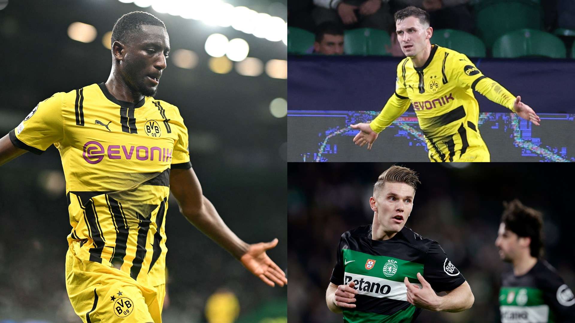 令人满意的 令人满意的