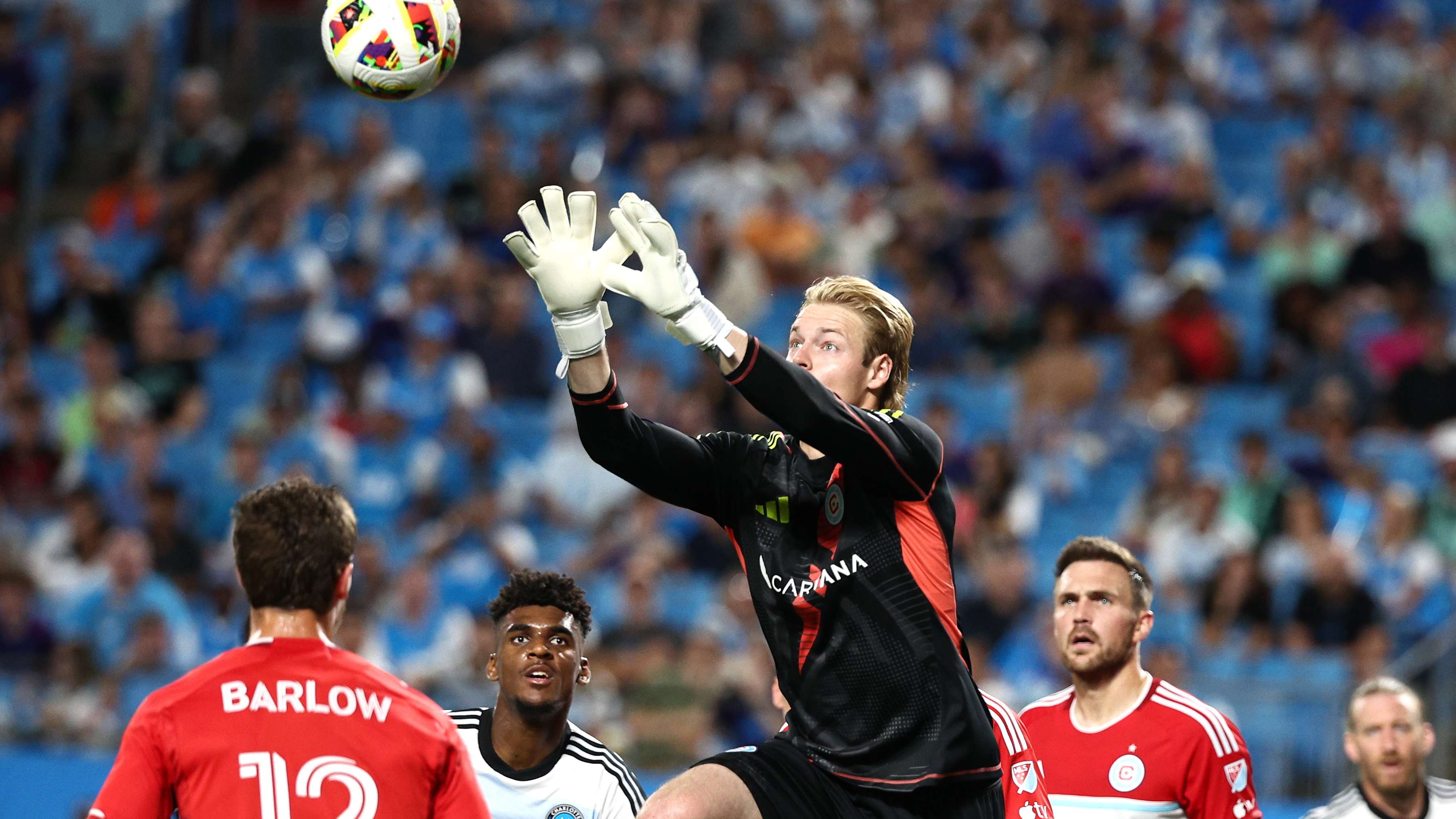 和社会责任 和社会责任