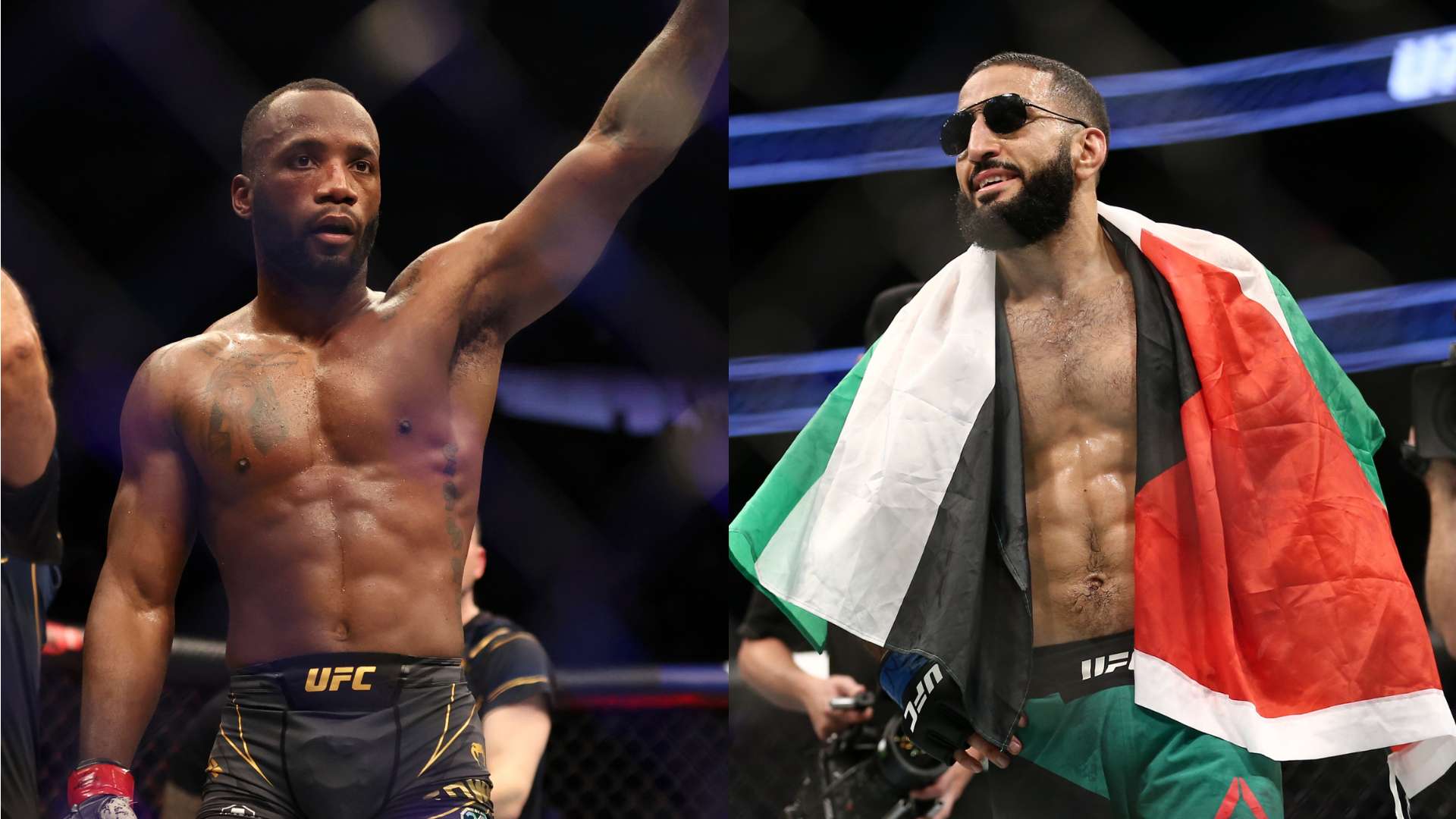 各大体育频 各大体育频